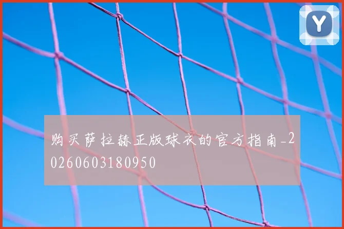 购买萨拉赫正版球衣的官方指南_20260603180950