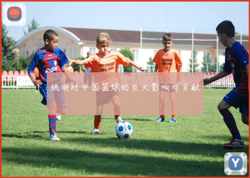 姚明对中国篮球的巨大影响与贡献